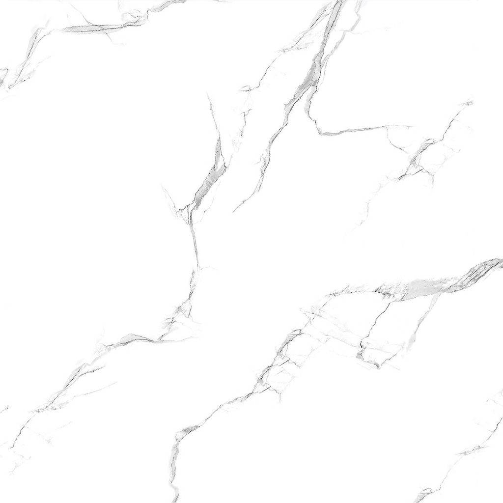  Carrara & Statuario Tile 24" x 48"