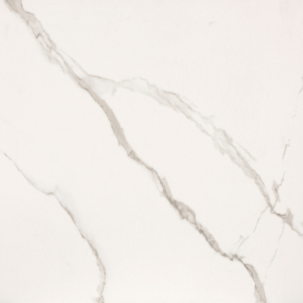 Staturio Bianco  Tile 12" x 24"