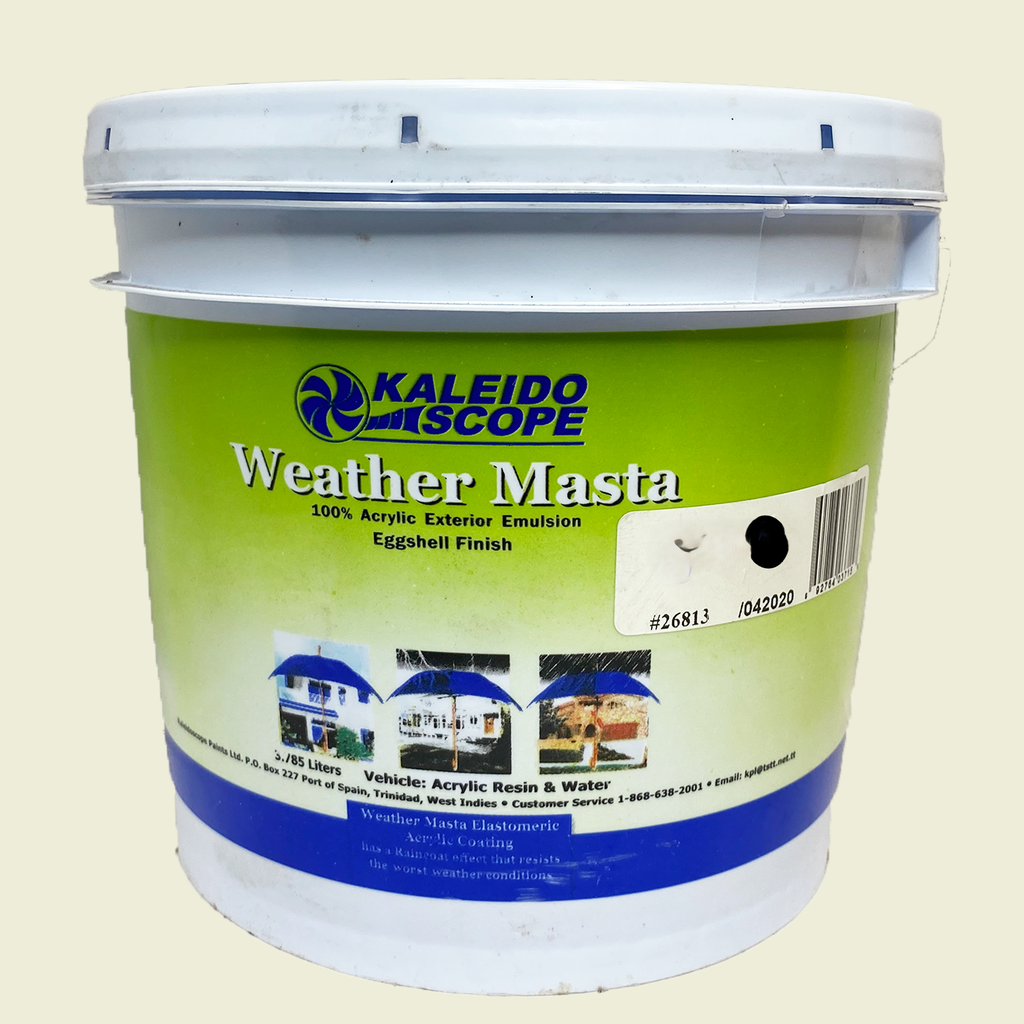 Kaleidoscope Weather Masta Latex Emulsion 1 Gallon