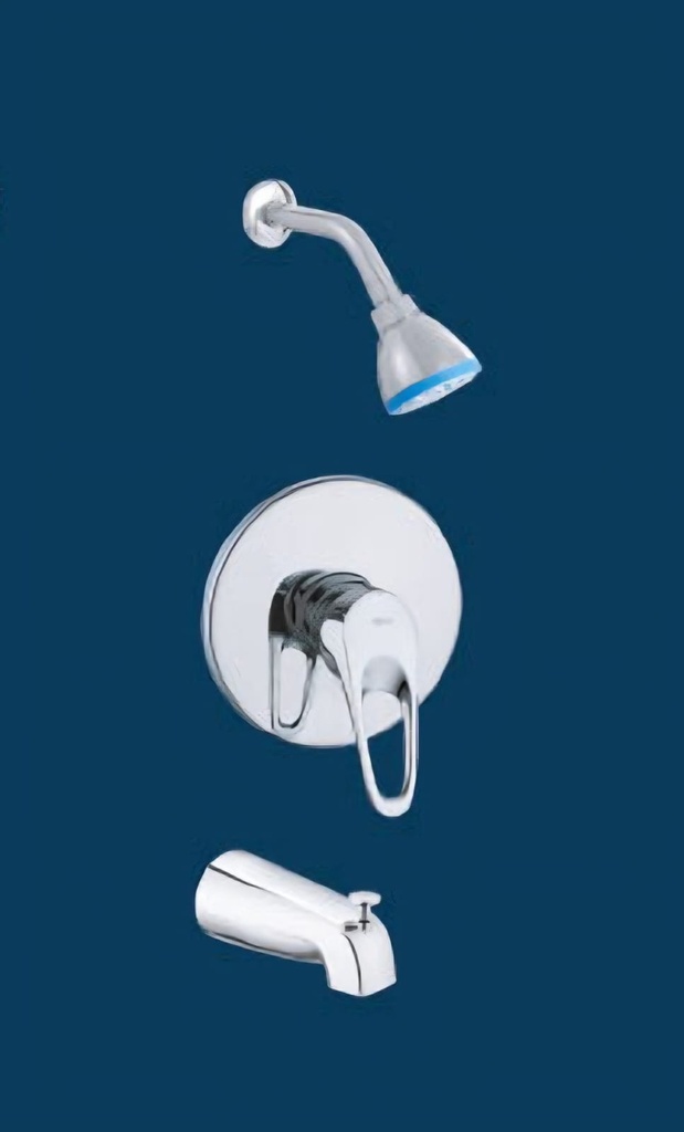 Bri Shower Mixer W/ Diverter