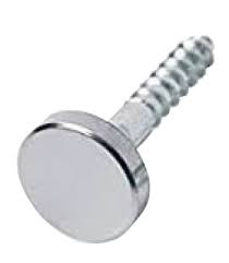 Mirror Screw #7497