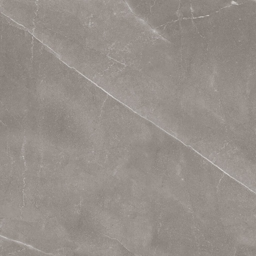  Armani Tile - Grey 24" x 48"