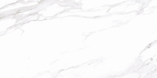 Superb Calatta Grande Tile 24" x 48" 