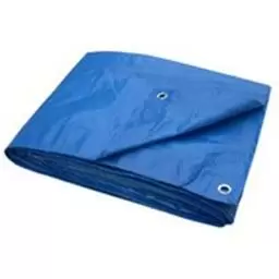 Tarpaulin 10' x 12' - Blue