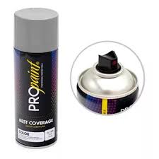 Pro Paint Spray Paint - Silver