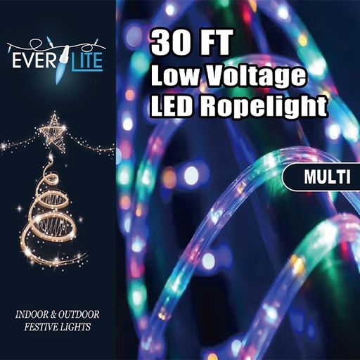 LED Rope Light 30' - Multi 